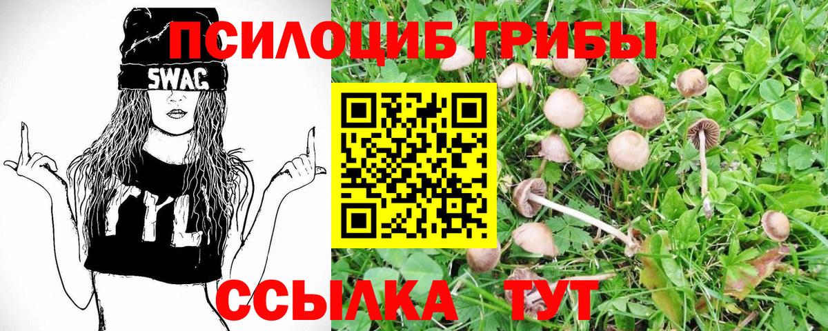 Мирный  Галлюциногенные грибы прущие грибы  Вход с VPN 