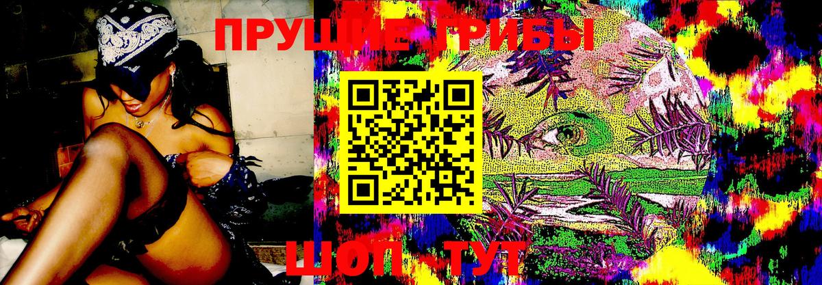 Галлюциногенные грибы Psilocybine cubensis Мирный